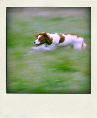 DSC_2873-pola01