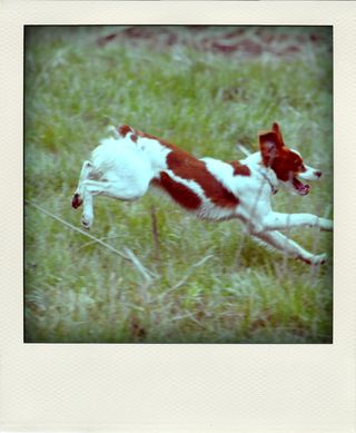 DSC_3019-pola