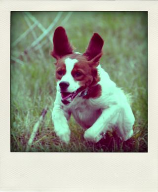 DSC_3163-pola