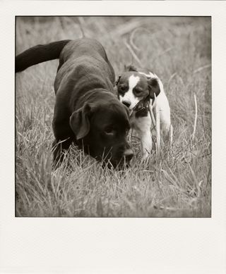 DSC_3214m-pola