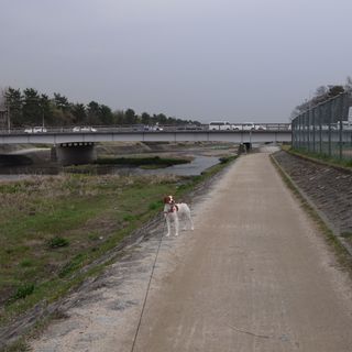 R0010577