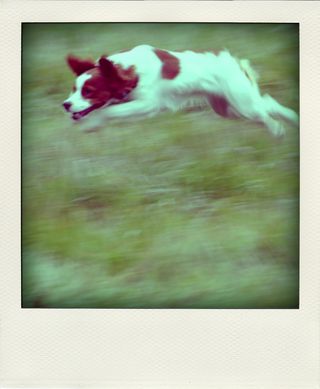DSC_2890-pola01