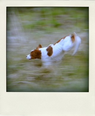 DSC_2910-pola01