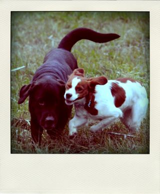 DSC_3314-pola