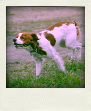 DSC_3067-pola