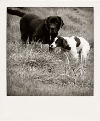 DSC_3079m-pola