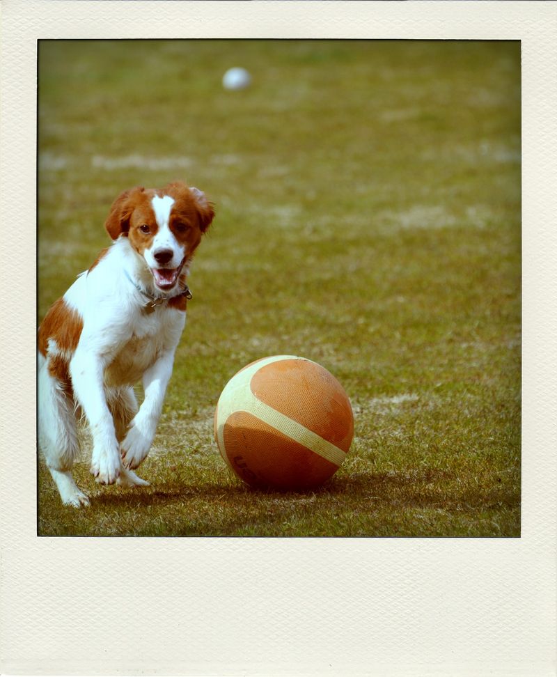 DSC_5193-pola