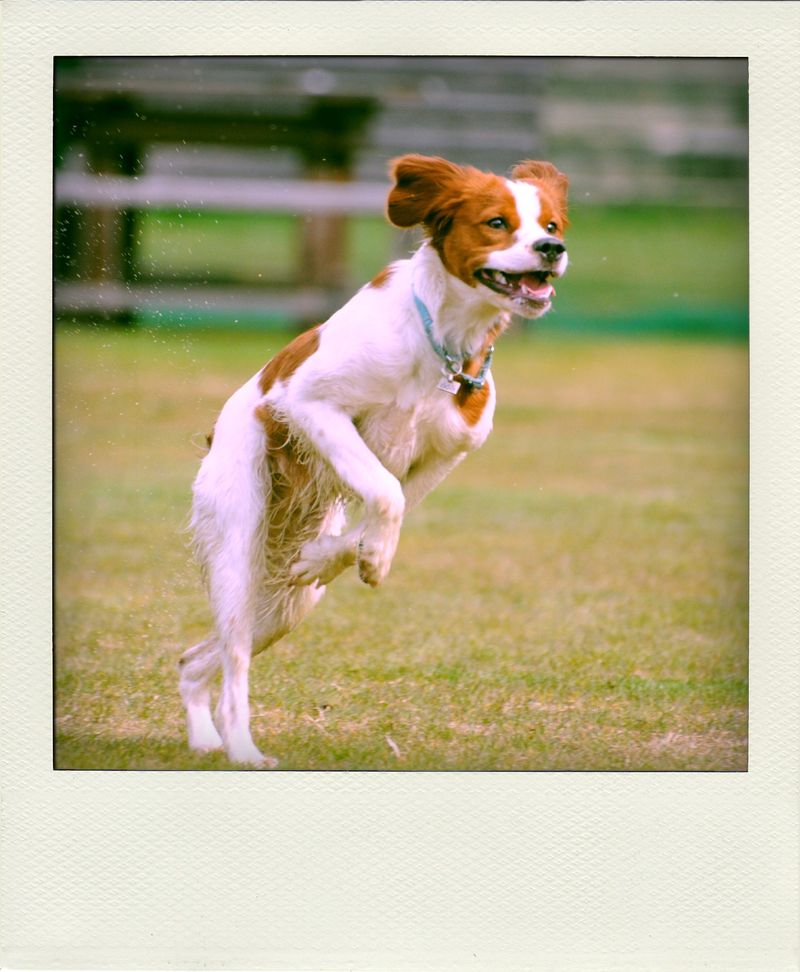 DSC_5279-pola