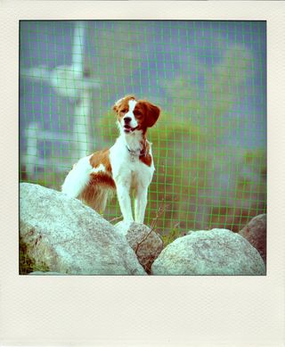 DSC_5309-pola