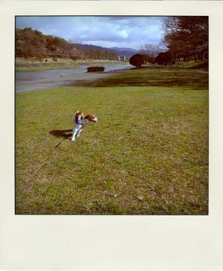R0013300-pola