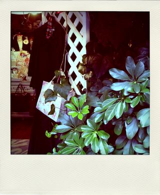 R0014054-pola