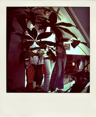 R0014060-pola