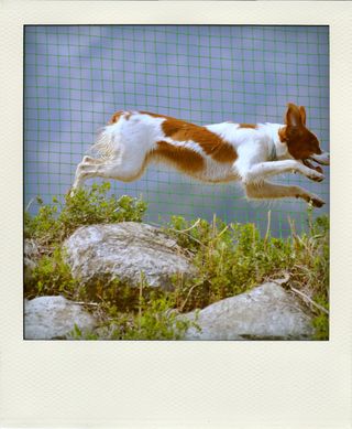 DSC_4553-pola