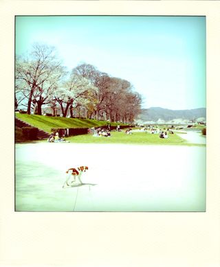 DSC_6108-pola01