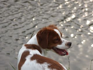 DSCF1258