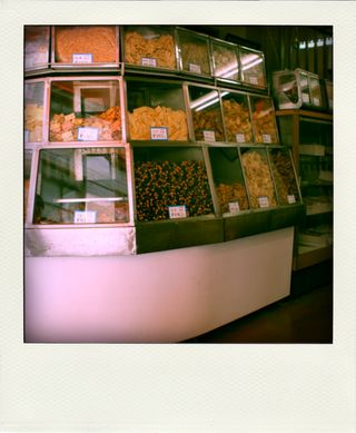 P3291139-pola