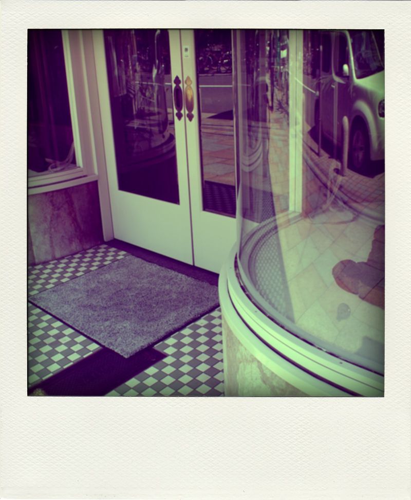 P3291110-pola
