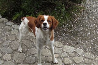 IMG_0985