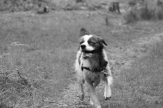IMG_0933