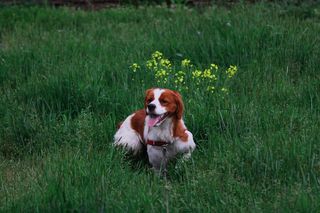 IMG_1097