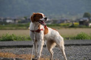 IMG_0702