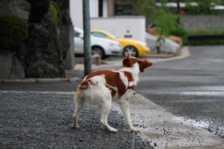 IMG_1022