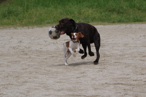 Imgp3940_2