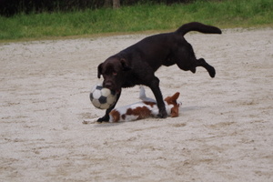 Imgp3942_2