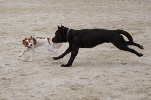 Imgp3996_2