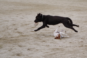 Imgp3997_3
