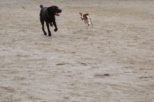 Imgp4002_2