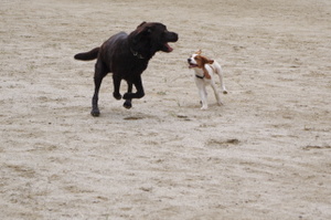Imgp4004_5