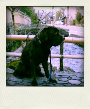 Imgp4035pola