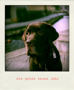 Imgp4246pola_2_2
