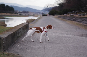 Imgp5123_2