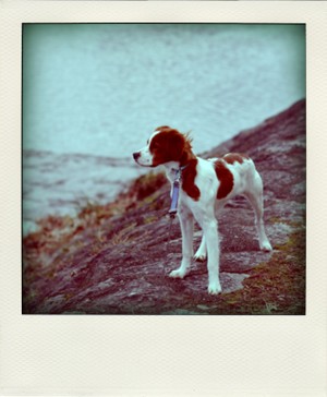 Imgp5497pola